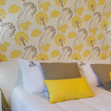 Casa Do Pico Do Salomao