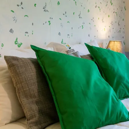 Casa Do Pico Do Salomao *